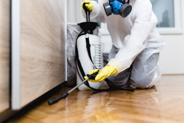 Best Wildlife Control Services  in Idylwood, VA