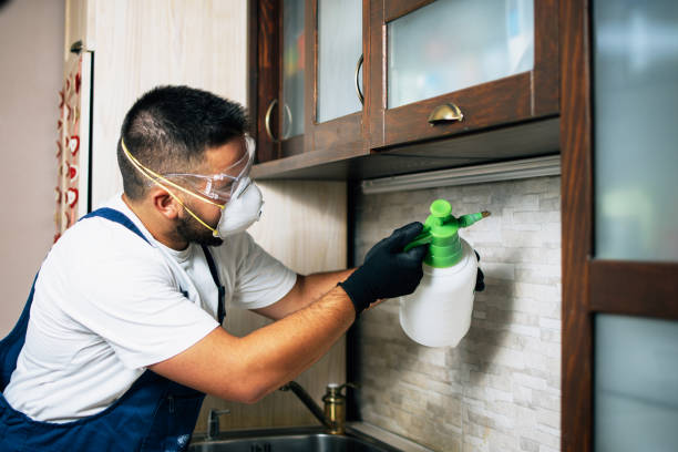 Best Pest Prevention Services  in Idylwood, VA