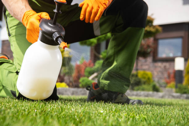 Pest Prevention Services in Idylwood, VA