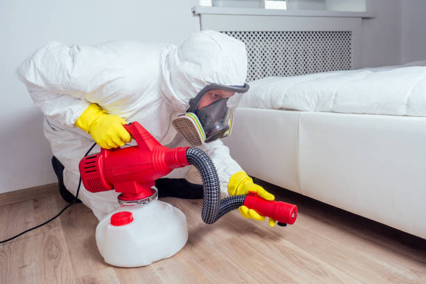 Wasp Removal Services in Idylwood, VA